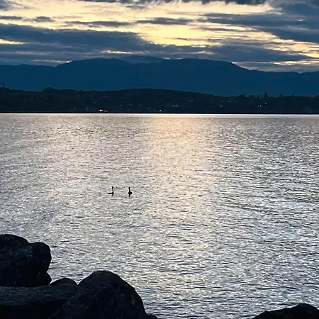 Les Bord Du Leman Campsite