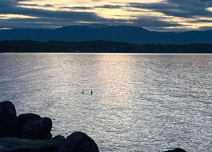 Les Bord Du Leman Campsite